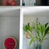 Thumbnail of related posts 159