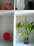 Thumbnail of post image 058