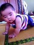 Thumbnail of post image 146