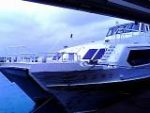 Thumbnail of post image 045