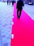 Thumbnail of post image 012