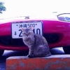 Thumbnail of related posts 161