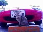 Thumbnail of post image 058
