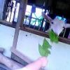 Thumbnail of related posts 113