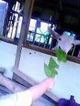 Thumbnail of post image 134