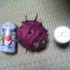 Thumbnail of related posts 005