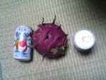 Thumbnail of post image 099
