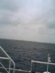 Thumbnail of post image 025
