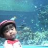 Thumbnail of related posts 066