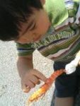 Thumbnail of post image 077