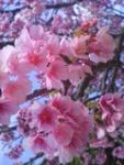 Thumbnail of post image 049