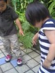 Thumbnail of post image 164