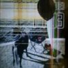 Thumbnail of related posts 067