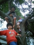 Thumbnail of post image 073