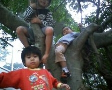 Thumbnail of post image 005