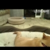 Thumbnail of related posts 118