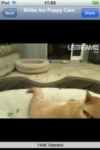 Thumbnail of post image 018
