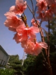 Thumbnail of post image 120