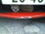 Thumbnail of post image 093