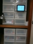 Thumbnail of post image 124