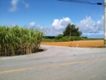 Thumbnail of post image 183