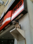 Thumbnail of post image 082