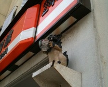 Thumbnail of post image 105