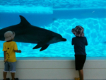 Thumbnail of post image 103