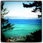 Thumbnail of post image 082