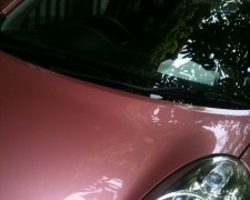 Thumbnail of post image 088