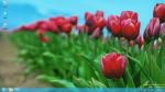 Thumbnail of post image 155