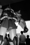 Thumbnail of post image 031