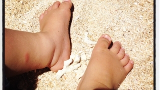 Thumbnail of post image 177
