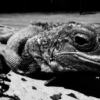 Thumbnail of related posts 060