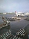 Thumbnail of post image 141