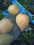 Thumbnail of post image 009