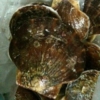 Thumbnail of related posts 057