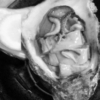 Thumbnail of related posts 107