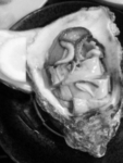 Thumbnail of post image 152