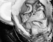 Thumbnail of post image 172