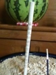 Thumbnail of post image 110