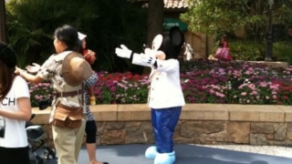 Thumbnail of post image 174