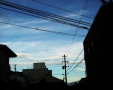 Thumbnail of post image 038