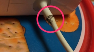 Thumbnail of post image 041