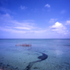 Thumbnail of related posts 058