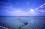 Thumbnail of post image 133