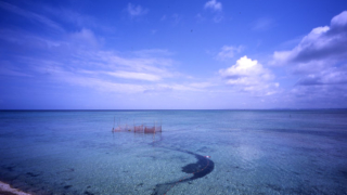 Thumbnail of post image 008